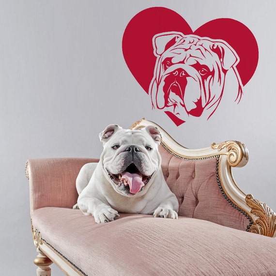 ENGLISH BULLDOG Vinyl Decal Sticker Car Window Wall Bumper Dog Puppy