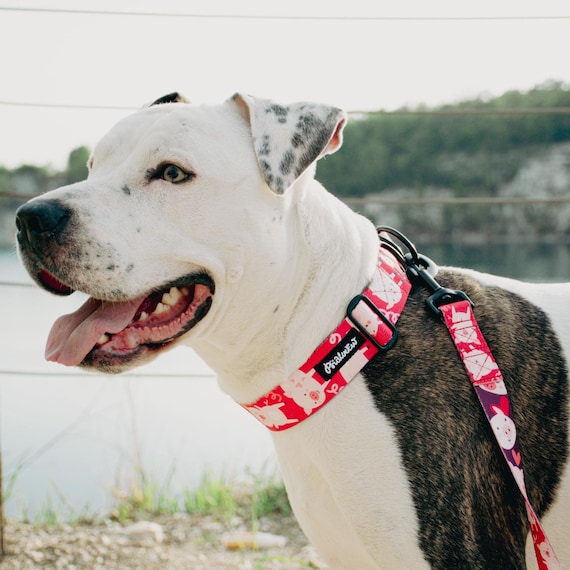 halsband und leine für große hunde Taktische Hundeleine mit Handschlaufe - Rot