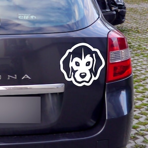 Beagle dog car sticker for dark car bodies, Beagle Psiakrew dog decal
