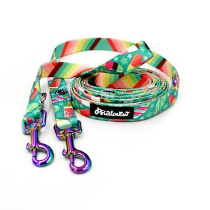 Long Dog Leash Ice Ice Baby Psiakrew width 2 cm (0.78&quot;), two ended holo snap hook 6 cm, SMALL DOG