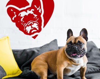Französische Bulldogge Kaufen: ♂ Und ♀, Welpe Aus Roth, Mittelfranken
