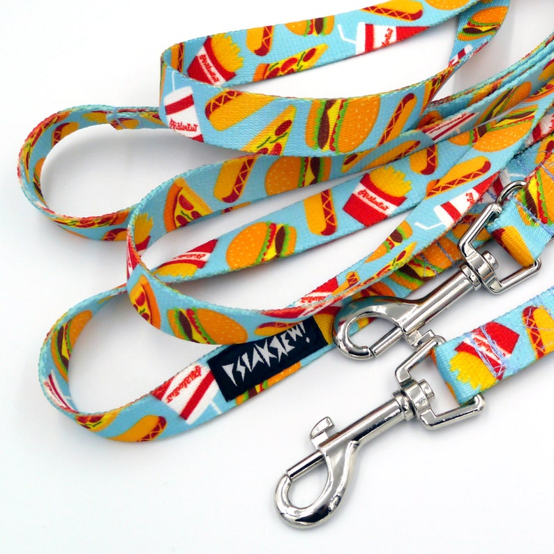 leash with two hooks