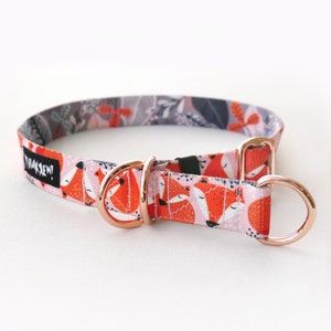 Half-choke collar Foxy Lady, 2.5 cm, 1 " wide, rose gold Dog Collar Psiakrew, Colorful Pet collars for medium and big dogs