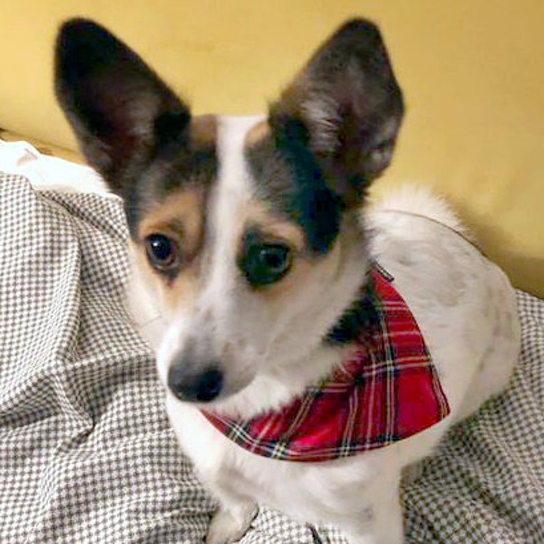Dog Bandana Tartan handkerchief style to tie around your pet\u2019s neck scottish plaid Tartan pattern bandana Psiakrew red