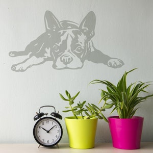 Boston Terrier Dog Wall Decal, Vinyl Sticker Decal - Good for Walls, Cars, Ipads, Mirrors Etc, Boston Terrier lover gift
