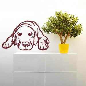 Naklejka z psem Labrador Retriever Slumber Vinyl Decal - Nadaje się na ściany, samochody, iPady, lustra itp.