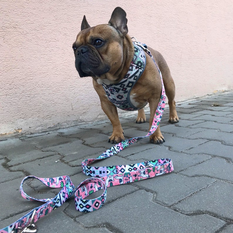 Hund Leine Lama lange Leine zwei ende Breite 25 cm Etsy