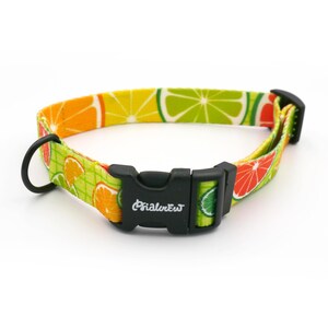 Può includere: Un collare per cani con un motivo a fette di frutta. Il collare presenta fette di arancia, lime e anguria su uno sfondo verde. Ha una fibbia in plastica nera e un anello a D in metallo nero. Il testo "Psialurew" è stampato sulla fibbia.