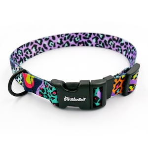 Può includere: Un collare per cani colorato con fibbia in plastica nera e anello a D. Il collare presenta una vivace stampa leopardata in viola, verde acqua, arancione e giallo. Il marchio "Pialureu" è stampato sulla fibbia.