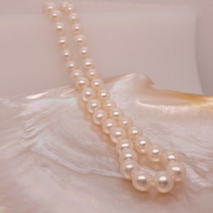 Cultured Pearl Necklace | Freshwater Pearl Necklace | Pearl Necklace | Traditional Pearl Necklace