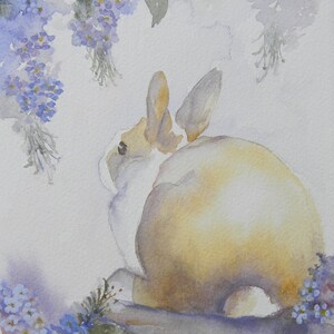 Honey Cheeks- Lop Rabbit Digital Reproduction Print of Original Artwork by Jonnie J. Baldwin