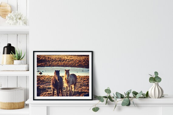 Icelandic Horses Photo Print, Iceland Photography, Horse Art, Gift For Horse Lover