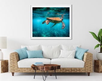 Sea Turtle Photo Print, Maui, Hawaii, Underwater Art