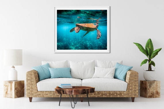Sea Turtle Photo Print, Maui, Hawaii, Underwater Art