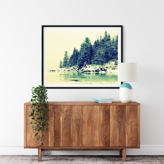 Spruce Tree Photo Print, Bar Harbor, Maine Print, Fir Tree Art