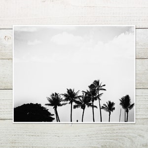 Black And White Palm Photo Print, Honolulu, Hawaii, Minimalist Decor image 6