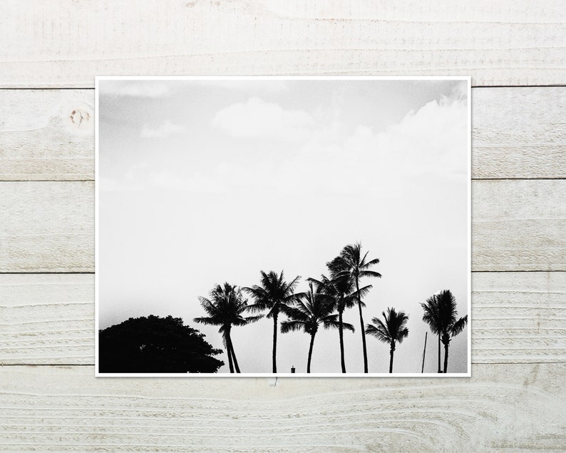 Black And White Palm Photo Print, Honolulu, Hawaii, Minimalist Decor image 6