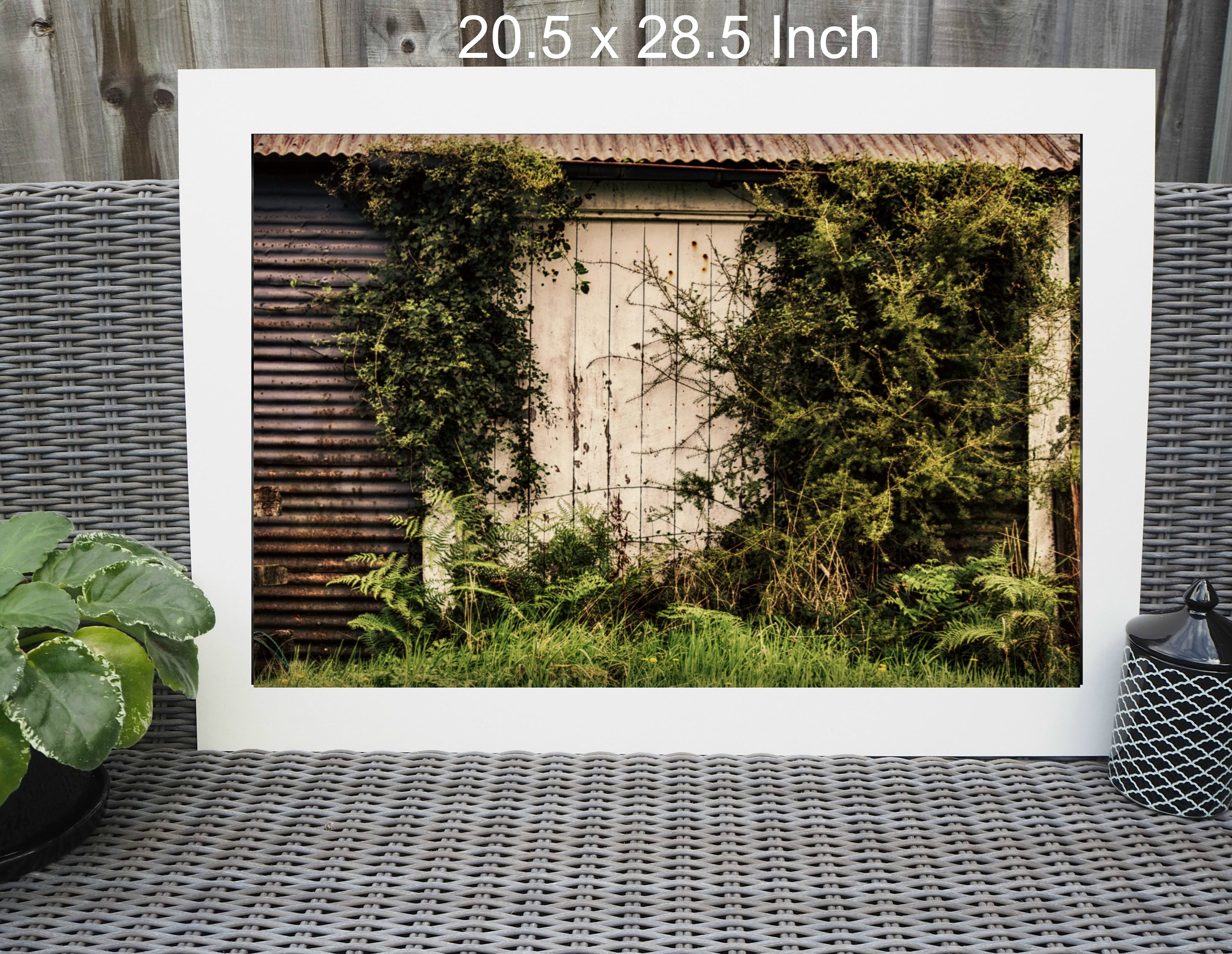 Farmhouse Photo Print, Country Home Decor, New Zealand Print