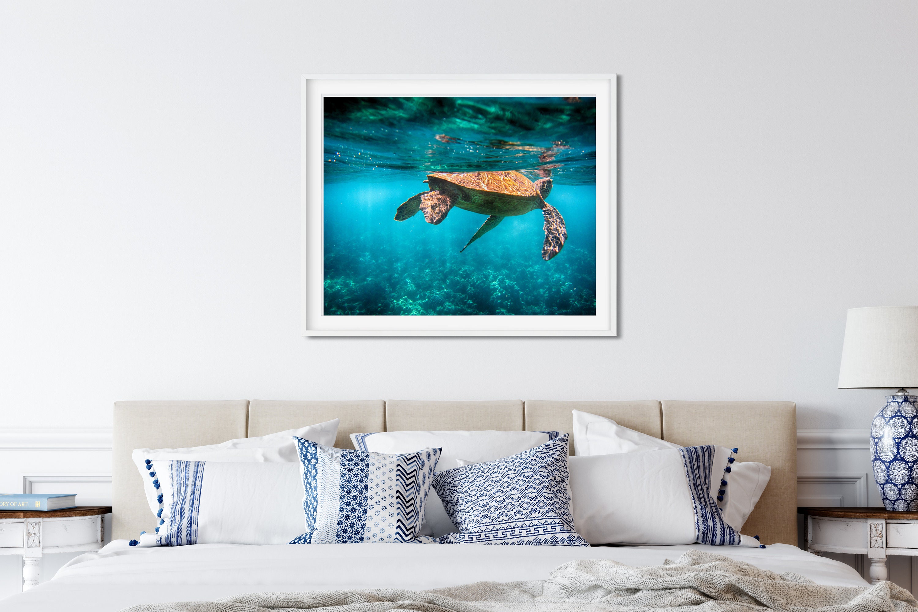 Sea Turtle Photo Print, Maui, Hawaii, Underwater Art