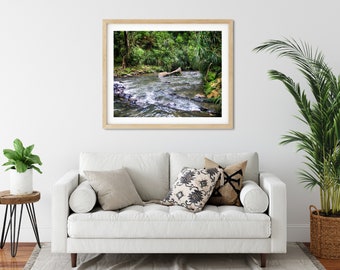 Rainforest Stream Photo Print, Waikato, New Zealand, Nature Wall Decor