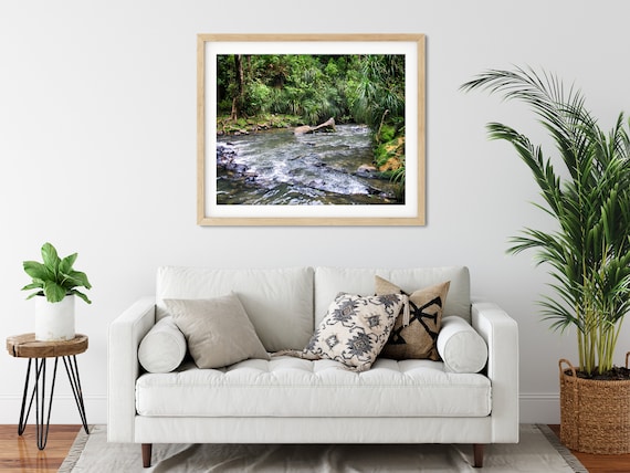 Rainforest Stream Photo Print, Waikato, New Zealand, Nature Wall Decor