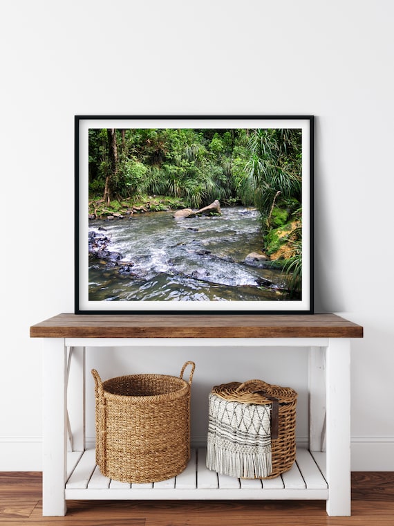 Rainforest Stream Photo Print, Waikato, New Zealand, Nature Wall Decor
