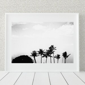 Black And White Palm Photo Print, Honolulu, Hawaii, Minimalist Decor image 5