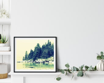 Spruce Tree Photo Print, Bar Harbor, Maine Print, Fir Tree Art