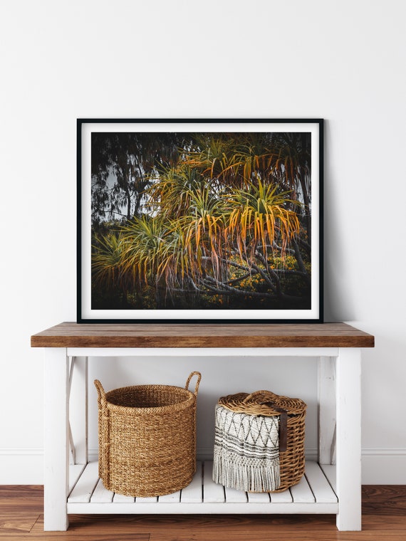 Pandanus Palm Photo Print, Great Barrier Reef, Queensland, Tropical Wall Art