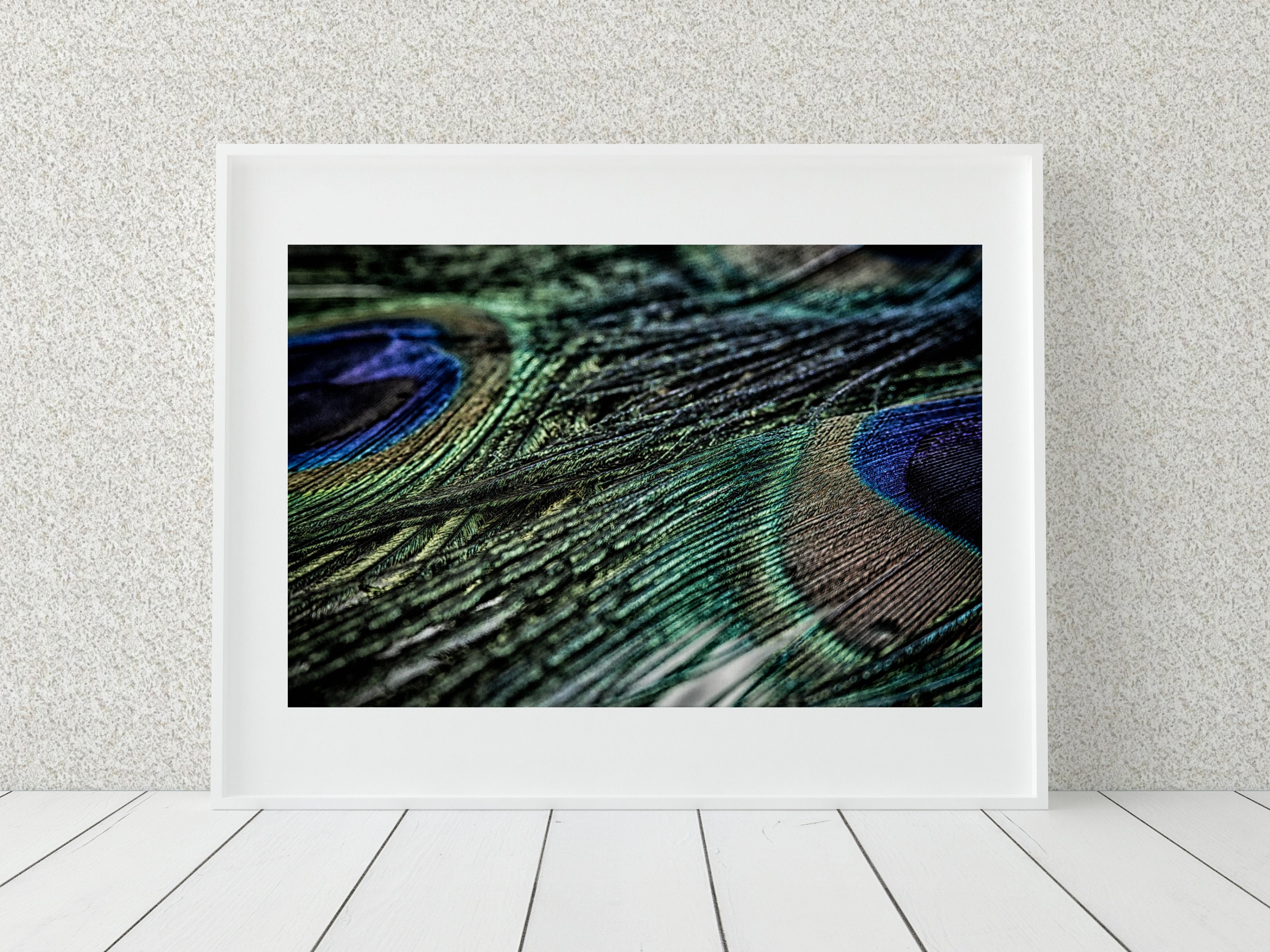 Peacock Feather Photo Print, Fine Art Photography, Peacock Decor