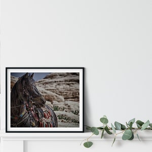 Horse Photo Print, Middle Eastern Photography, Horse Decor