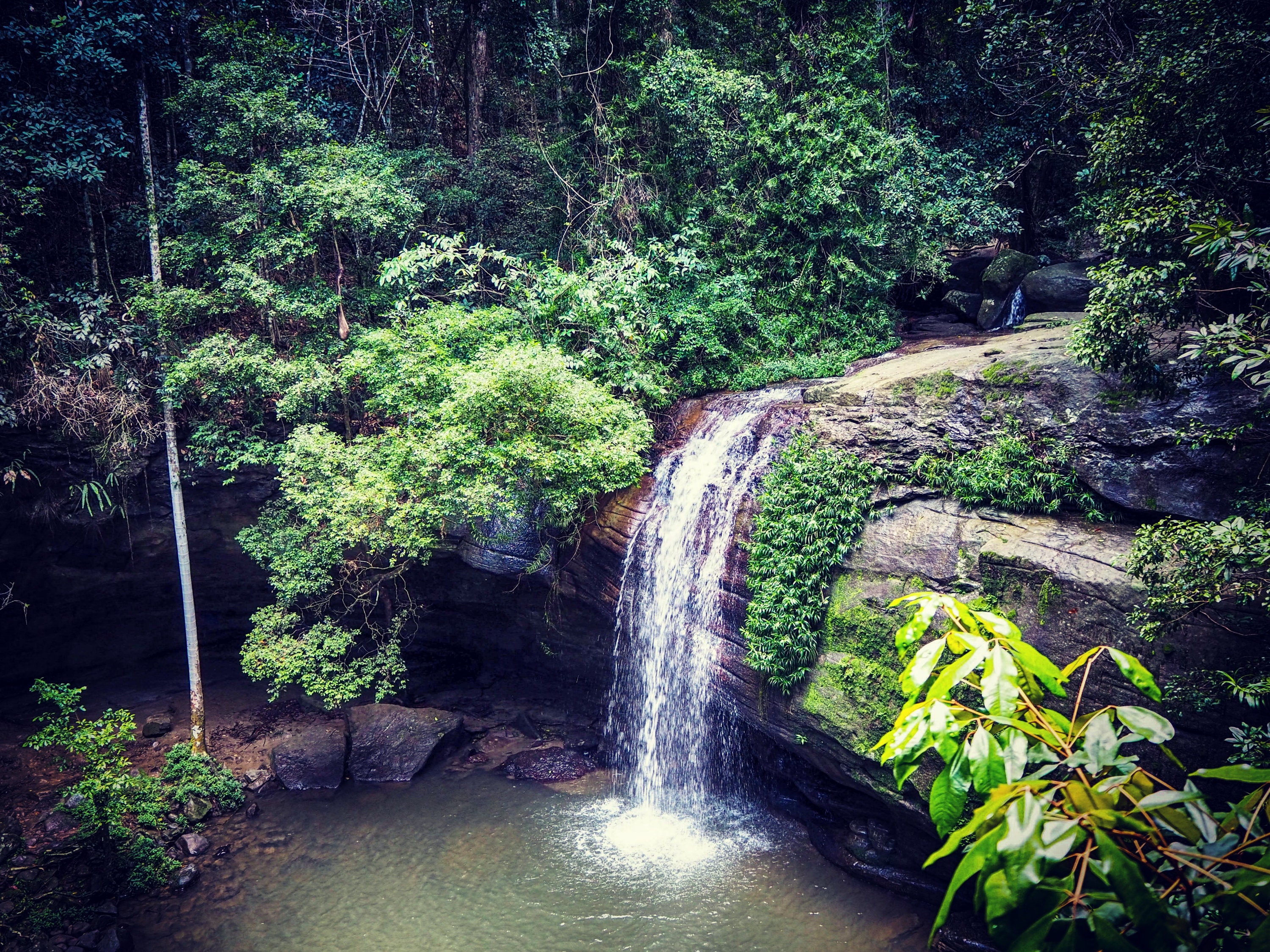 Serenity Falls Buderim Australia Home Decor Wall Art Etsy