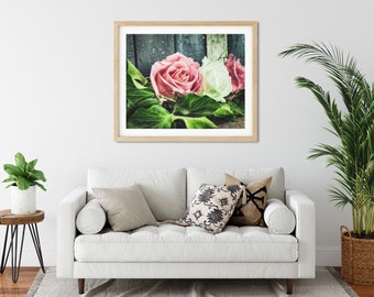 Blush Pink Rose Photo Print, Shabby Chic Roses, Floral Wall Art, Fine Art Photography