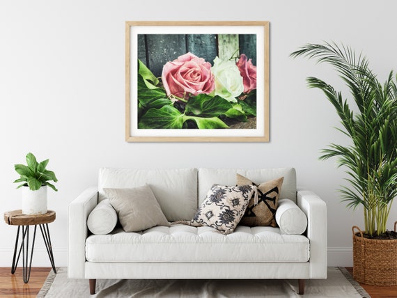 Blush Pink Rose Photo Print, Shabby Chic Roses, Floral Wall Art, Fine Art Photography