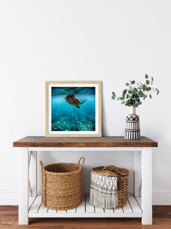 Sea Turtle Photo Print, Maui, Hawaii, Underwater Print