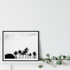 Black And White Palm Photo Print, Honolulu, Hawaii, Minimalist Decor image 3