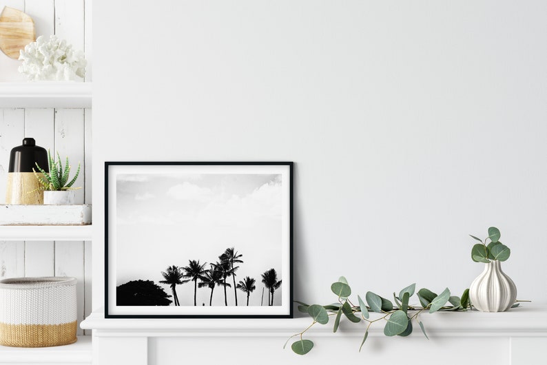 Black And White Palm Photo Print, Honolulu, Hawaii, Minimalist Decor image 3