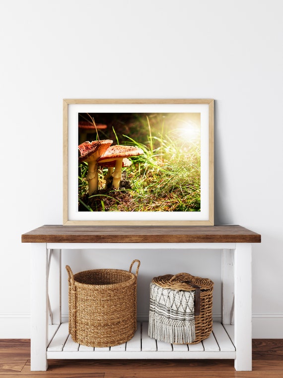 Mushroom Photo Print, Wanaka, New Zealand, Cottagecore Decor