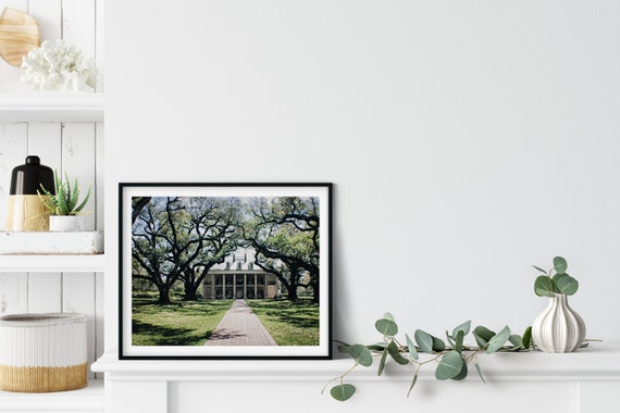 Oak Alley Photo Print, New Orleans, Louisiana, Southern Wall Art