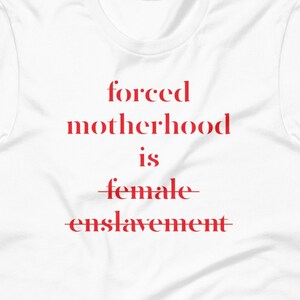 Unisex feminist shirt, reproductive rights, protest shirt, my body my choice shirt, roe v wade, gift for feminist