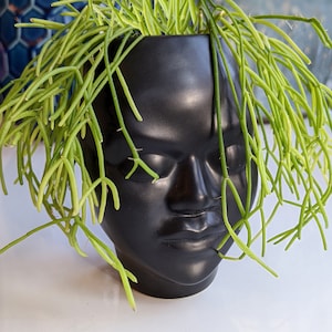 May include: A black ceramic planter shaped like a human face, filled with bright green, slender, cascading plant stems. The planter has a smooth, matte finish and is set against a blurred background.