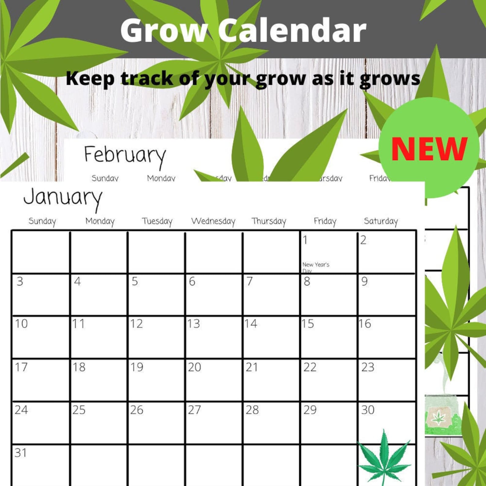 Cannabis Grow Calendar Printable 2024 CALENDAR PRINTABLE