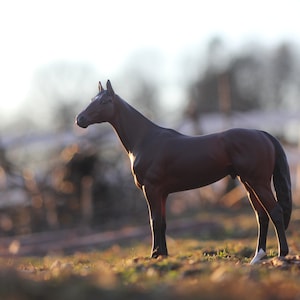 Ooak Custom Breyer Model Horse Commission