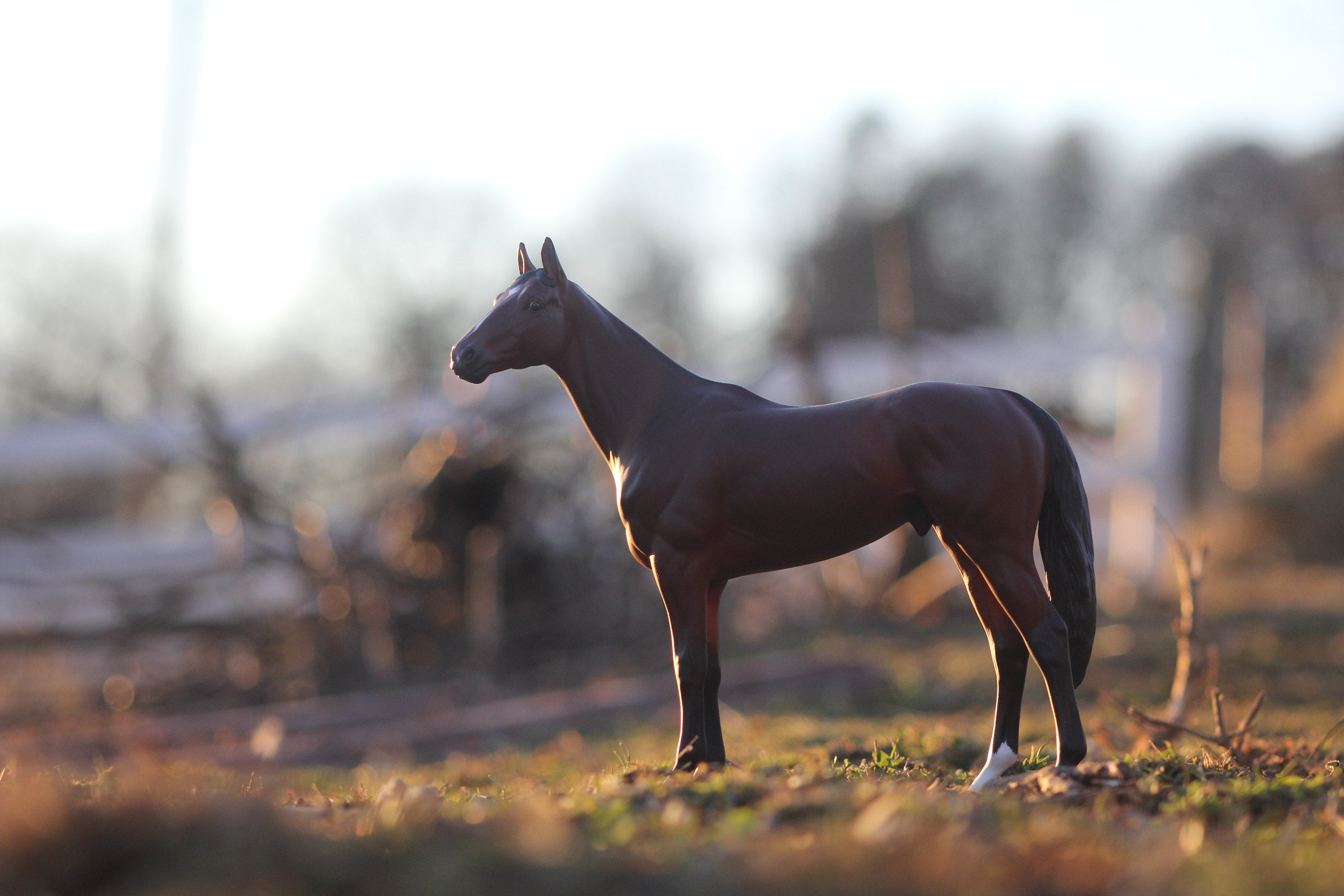 Ooak Custom Breyer Model Horse Commission