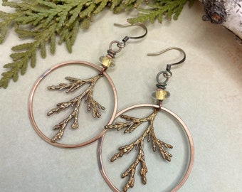 Hemlock Tree Nature Earrings Artisan Casted Brass at Contents Jewelry