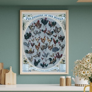 Vintage Poultry of the World Chart | 1800s Chicken Breeds Wall Art | Farmhouse Kitchen Wall Art | Homestead Decor