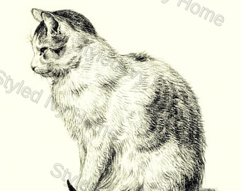 Sitting Cat Print | Jean Bernard 1819 | Vintage Cat Art | Digital Download