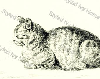 Lying Cat Print | Jean Bernard 1819 | Vintage Cat Art | Animal Art Download | Printable Antique Cat Drawing