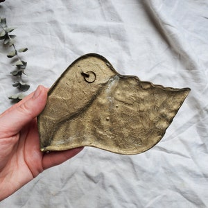 Vintage Brass Seashell Wall Decor, Brass Conch Wall Hanging, Brass ...