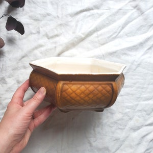 May include: A brown hexagonal ceramic planter with a white glazed interior. The planter has a diamond pattern on the exterior.